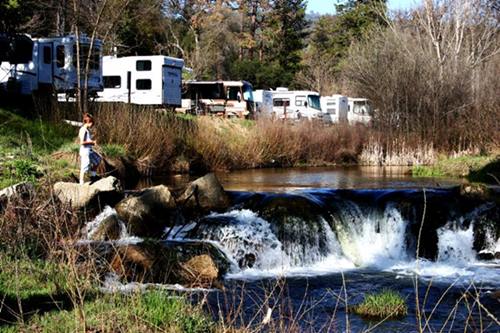 Assicurazioni per viaggi in camper: le migliori opzioni di gennaio 2025
